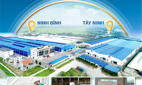 Mùa xuân 2026 - Hành trình trở về từ tình yêu quê hương