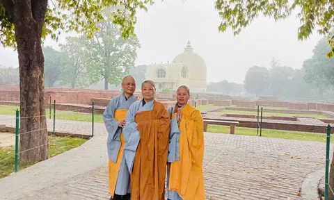 Hành trình tu tập và hạnh nguyện phụng sự của Ni sư Thích Đàm Tính, trụ trì chùa Ngọc Động