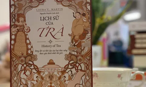 Lịch sử của Trà: Đọc để thưởng Trà tinh tế hơn