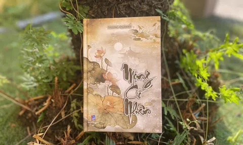 Mộng cố nhân - Giấc mơ tương phùng