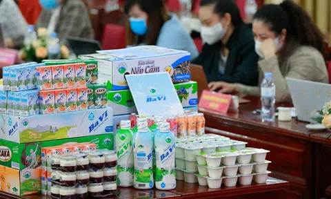 Hà Nội: Một số giải pháp phát triển sản phẩm OCOP để phát huy thế mạnh của huyện Ba Vì