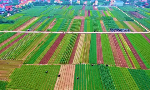 Thơ và cuộc sống