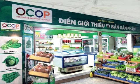 Phát triển du lịch gắn với sản phẩm OCOP, thúc đẩy kinh tế nông thôn