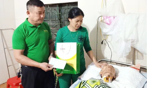 Goldten - món quà của tình thân