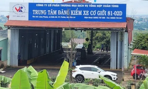 Gia Lai: Khởi tố, bắt tạm giam 2 nguyên Phó Giám đốc trung tâm đăng kiểm