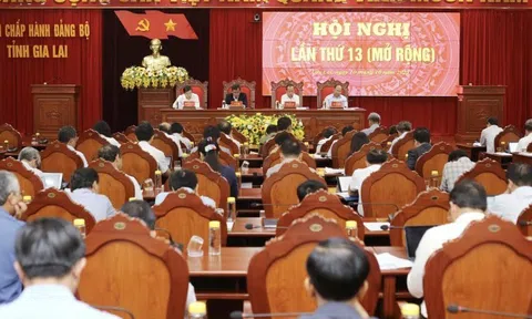 Gia Lai: Kỷ luật những cán bộ thoái hóa, biến chất