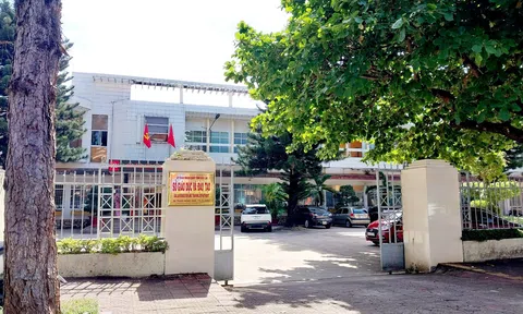 Gia Lai: Truy tố nguyên Giám đốc Sở GD&ĐT và thuộc cấp  vì gây thất thoát hàng trăm triệu đồng