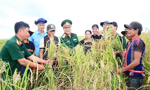 Bài 2:                    Sáu Tâm là bộ đội của dân làng