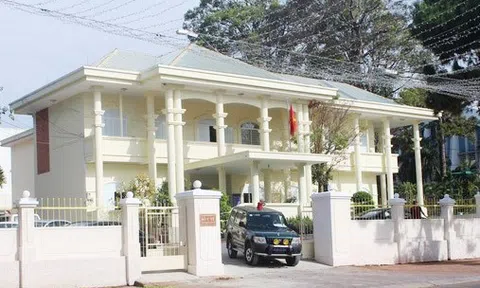 Gia Lai: Đảng ủy Sở Y tế cùng hai cán bộ có liên quan phải kiểm điểm trách nhiệm vì để xảy ra vi phạm