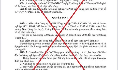 Gia Lai: Đề nghị Công an điều tra vụ giả quyết định của UBND tỉnh về cấp đất trồng rừng