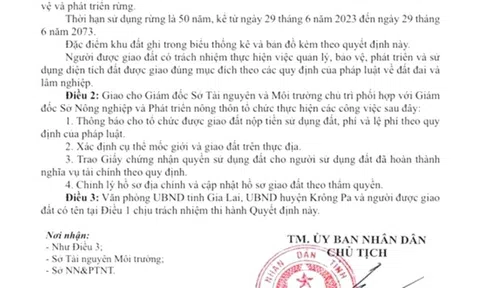 Gia Lai: Quyết định 1372 của UBND tỉnh về cấp đất trồng rừng là giả mạo