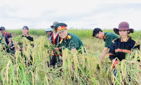 Công ty 75- Binh đoàn 15: Dấu ấn 40 năm trên vùng biên giới