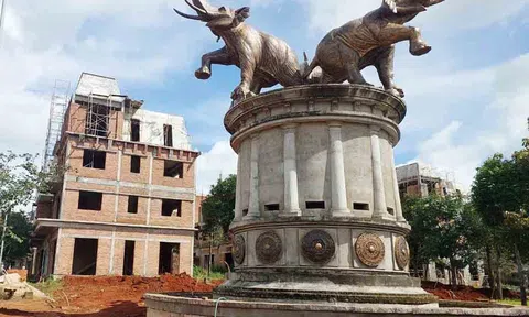 Gia Lai: Dự án FLC và nhiều dự án điện gió được Thanh tra Chính phủ cung cấp thông tin đến Bộ Công an để điều tra sai phạm