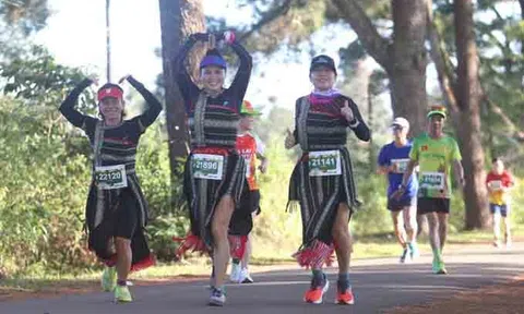 Hấp dẫn từng bước Giải chạy “Gia Lai City Trail 2024- Giấc mơ đại ngàn”