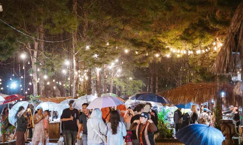 Quảng Ngãi: Đầu tư phát triển du lịch, trở thành điểm đến hấp đẫn của du khách