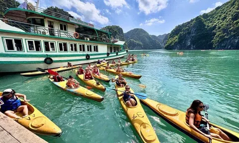 Hải Phòng trước giờ khai hội: Đồi Rồng sắp đón bước chân 750 đại biểu ngành du lịch