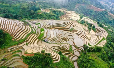 Cao Bồ mùa nước đổ - Bức tranh hoang sơ giữa đại ngàn