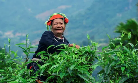 Khai mạc Hội chợ triển lãm Quốc tế Argoviet 2023