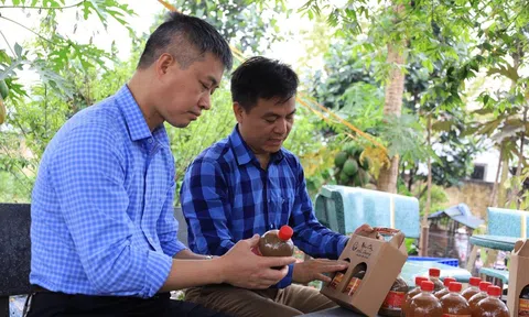 Mắm cáy Hải Dương: Món quà quê đậm đà, tinh túy