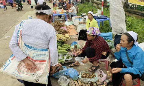 Độc đáo nét đẹp và hương vị núi rừng Chợ phiên Lũng Vân ở xứ Mường Hoà Bình