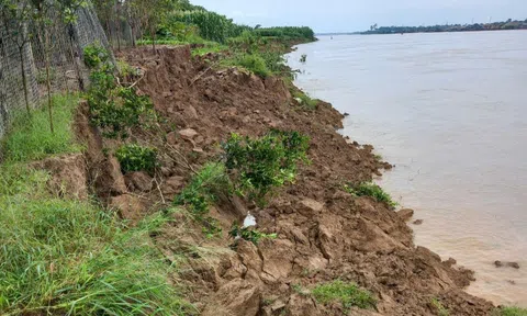 Vĩnh Phúc: Chủ động thực hiện các giải pháp ứng phó cơn bão số 3