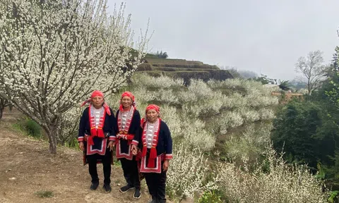 Hà Giang: Xuân về trên bản Nậm Hồng, huyện Hoàng Su Phì