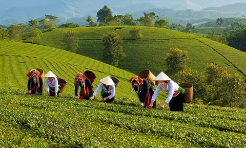 Phú Thọ hướng tới nông thôn mới hiện đại, bền vững và giàu bản sắc