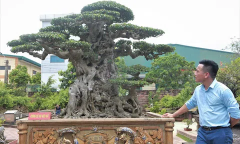 Một tác phẩm Sinh Vật Cảnh rất có giá trị với người này những không hẳn điều đó đã đúng với người khác