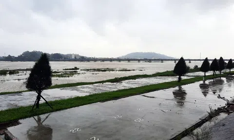 Quảng Ngãi: Mưa lũ lớn gây nhiều thiệt hại tại các địa phương trong tỉnh