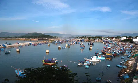 Quảng Ngãi: Chủ động ứng phó với bão RAI- cơn bão số 9