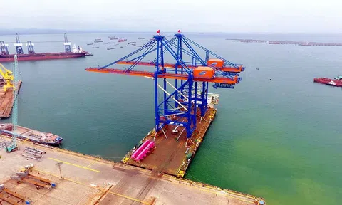 Doosan Vina: Hoàn tất cung ứng 8 cẩu bờ nặng STS khổng lồ cho cảng quốc tế Gemalink tại Bà Rịa - Vũng Tàu
