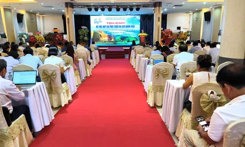 Tọa đàm “Kết nối, hợp tác phát triển du lịch Quảng Ngãi”: Định hình chiến lược phát triển trong giai đoạn mới