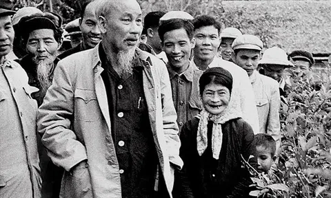 Khu di tích Kim Liên chú trọng công tác nhân giống hàng hoa râm bụt gắn liền với tuổi thơ của Người
