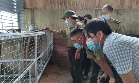 Lộc Hà (Hà Tĩnh): Mạnh dạn mở hướng đầu tư mô hình nuôi chồn phát triển kinh tế hộ gia đình