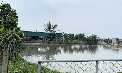 Nghệ An: Triệt phá ổ nhóm đánh bạc trong trang trại lợn