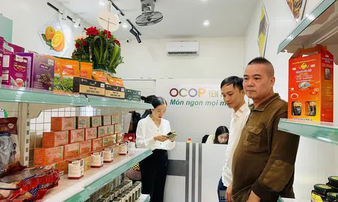 Nghệ An: Khai trương cửa hàng giới thiệu, bán sản phẩm OCOP tại thành phố Vinh