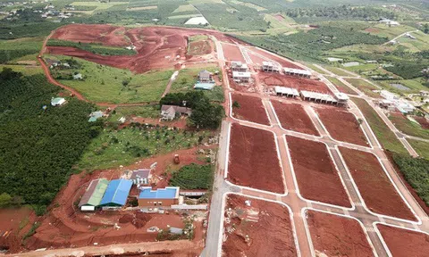 Phân lô, bán nền tràn lan tại Lâm Đồng: Sự phát triển hay phi phát triển?