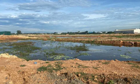 Vĩnh Phúc: Vĩnh Tường sẽ giải phóng mặt bằng phần diện tích còn lại ở xã Lũng Hòa để thực hiện dự án Khu chợ đầu mối nông sản thực phẩm
