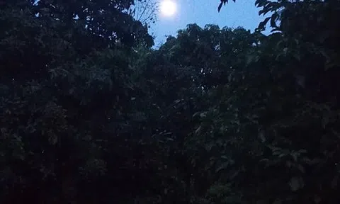 Lời đêm