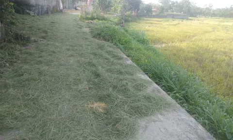 Mùa nhớ