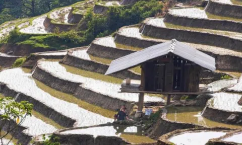 Nhớ lều nương