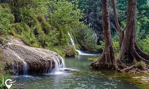 Mạn Thuật