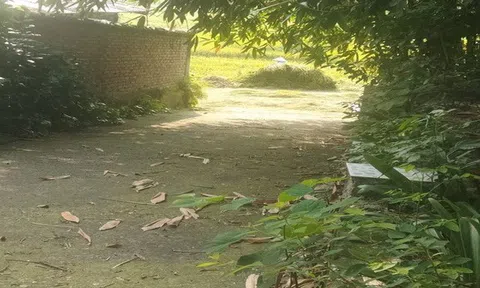 Nỗi buồn có thật