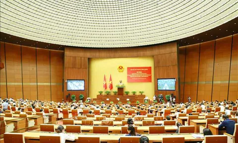 Vận dụng, phát triển sáng tạo tư tưởng Hồ Chí Minh vào thực tiễn phát triển đất nước