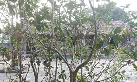 Một chuyện tình