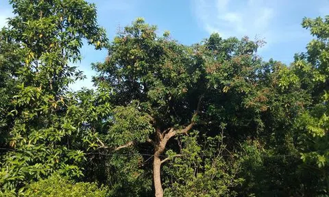 Bao giờ đến lượt mình !?