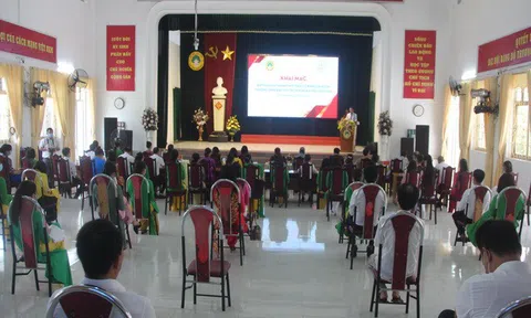 Tuyên Quang: Khảo sát, đánh giá ba chương trình đào tạo củaTrường Đại học Tân Trào