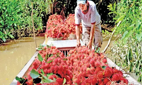 Tiền Giang: Cù lao Tân Phong - vùng đất của những đặc sản