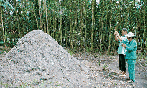 Bạc Liêu: Nơi ghi dấu một cuộc đấu tranh giữ đất của nông dân