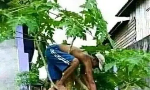 Mẹ đẻ. Mẹ chồng